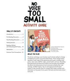 No Voice Too Small Educational Guide 